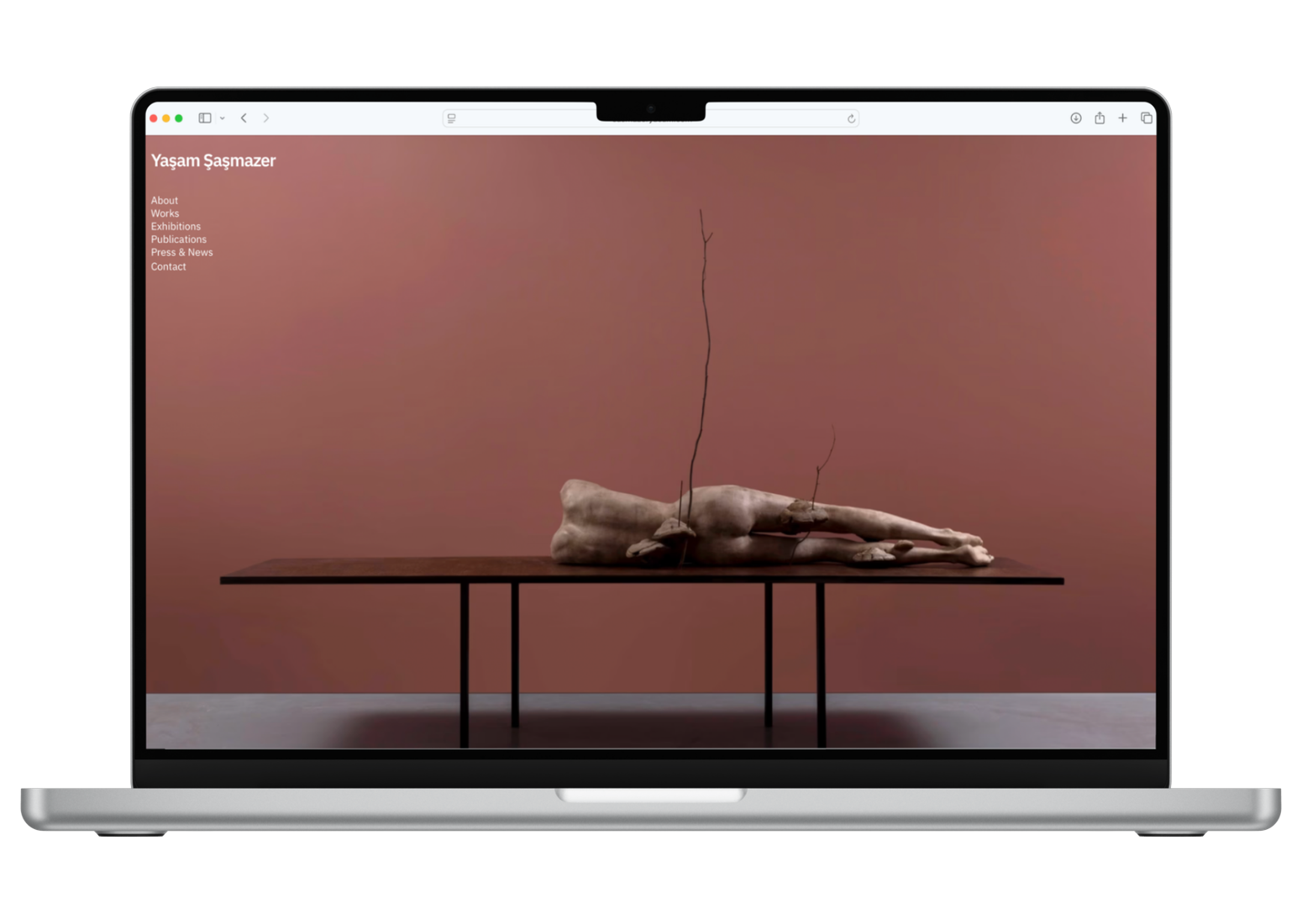 Yaşam Şaşmazer custom website shown on a laptop